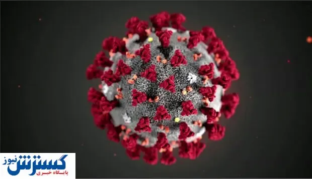 مقصد جدید کرونا کدام عضو بدن است؟