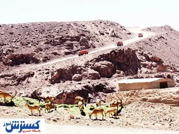 هشدار که آرامش‌شان را نخراشی