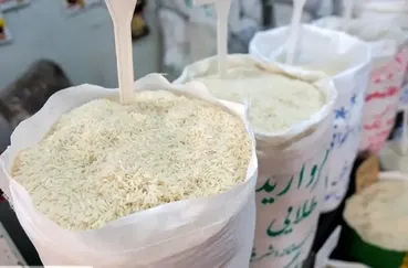 خبر مهم برای تهرانی‌ها / برنج ارزان وارد بازار شد
