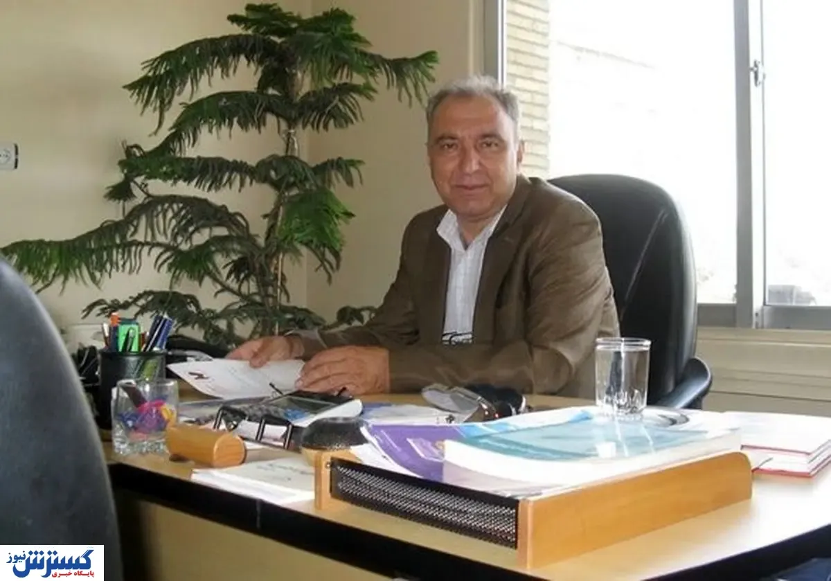ارزانی تخم مرغ در راه است؟
