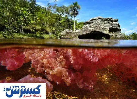 رودخانه عجیبی که ۵ رنگ دارد + تصاویر