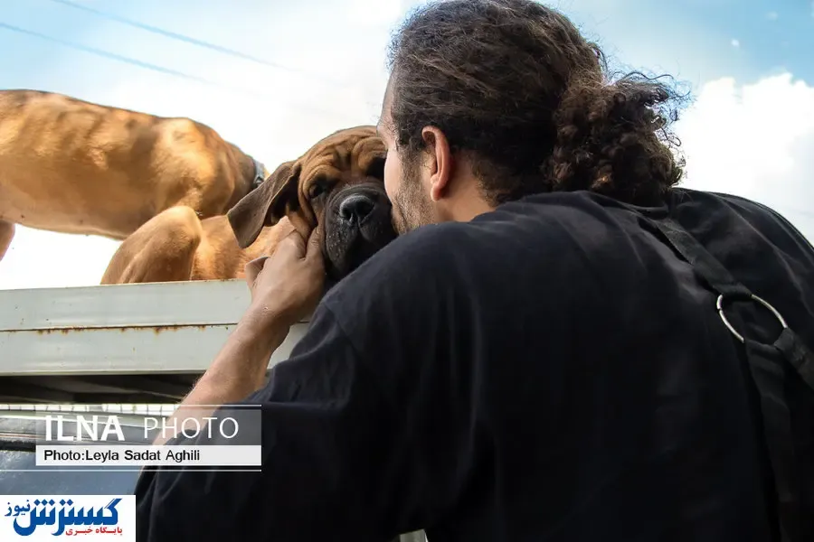 تصاویر/ جمعه بازار سگی در اوج کرونا