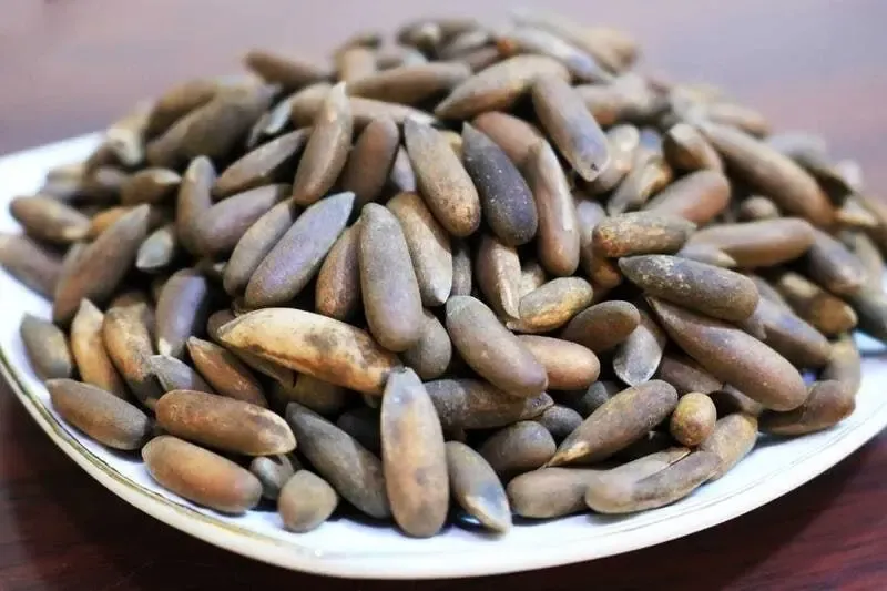 چلغوز هم لاکچری شد / کیلویی ۱ میلیون!