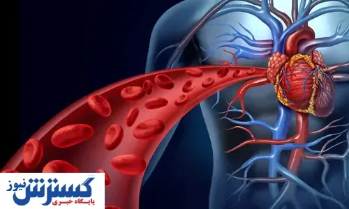 برای سلامت رگ‌ها چه بخوریم؟