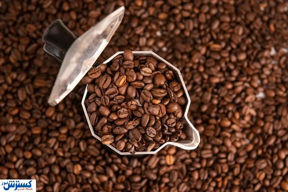 قهوه عربیکا چیست؟