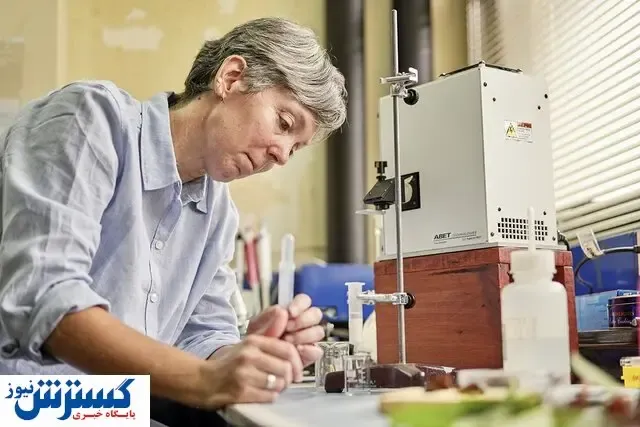 تولید برق با استقاده از گل و میوه!