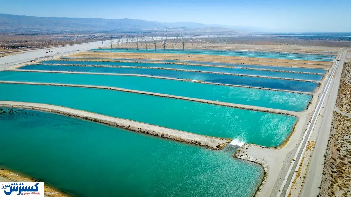 شوک خبری؛ آب ایران در هندوانه‌ها به کشورهای عربی صادر می‌شود