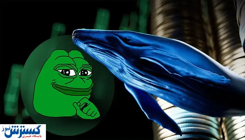 قورباغه دوباره ترند می‌شود؟ / برداشت ۱.۹۳ تریلیون میم‌کوین پپه