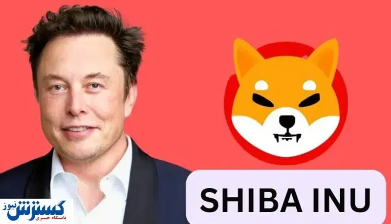 توییت جدید ایلان ماسک درباره شیبا اینو / ایده بدی نیست!