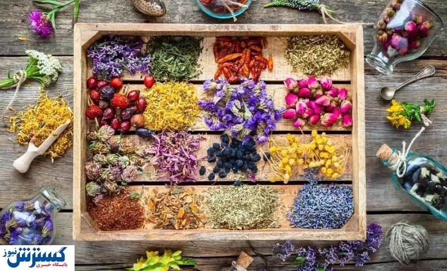 گیاهان دارویی هم بورسی شدند!
