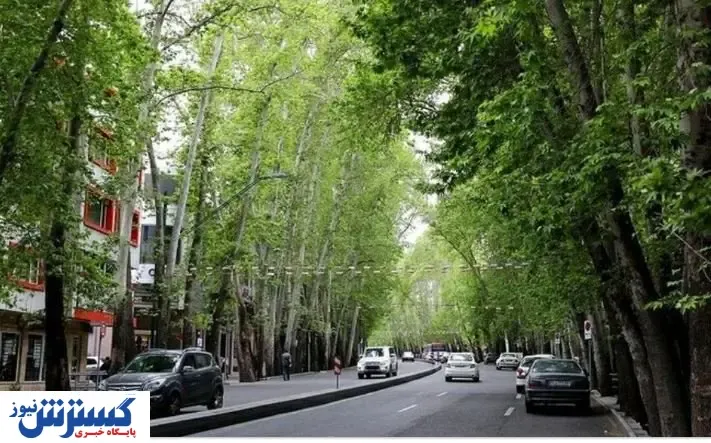 خیابان ولیعصر تهران در آستانه ثبت جهانی