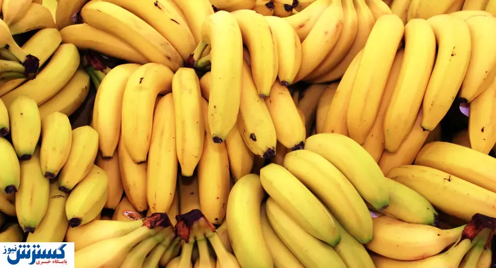 قیمت موز در بازار به عددی عجیب رسید!