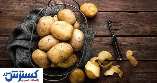 انفجار قیمت سیب زمینی در راه است / جلوگیری از فروش به کارخانه های چیپس