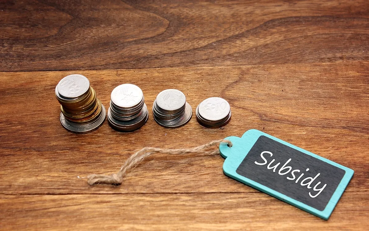 دولت ۶۷۰ میلیون دلار برای بهبود معیشت این افراد اختصاص داد