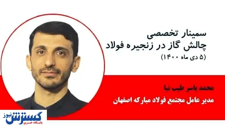 طیب نیا: مزیت تولید فولاد دسترسی به گاز ارزان است