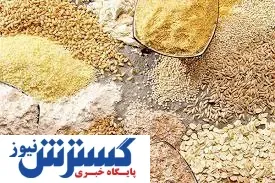 تعیین تکلیف ده‌ها هزار تن نهاده دامی در معرض فساد با تلاش دستگاه قضایی