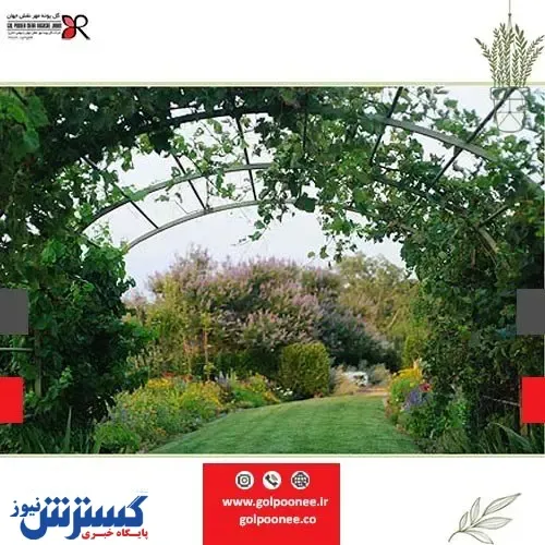 طراحی فضای سبز و اصول نگهداری از آن