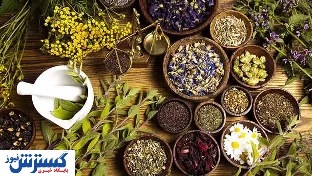 لزوم افزایش درآمد ارزی از گیاهان دارویی