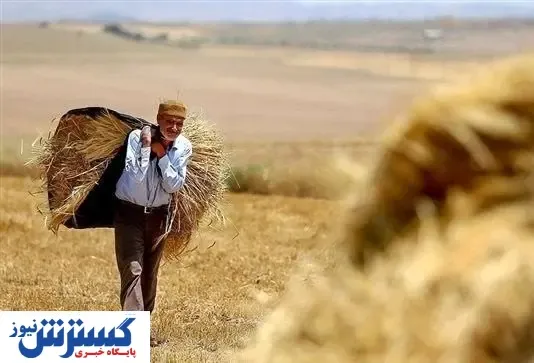 افت چشمگیر تولید بخش کشاورزی / تورم مواد غذایی چگونه سفره‌ها را خالی کرد؟