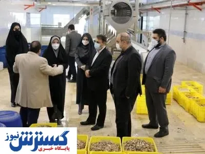 حمایت از واحدهای تولیدی سبب رشد اشتغال است