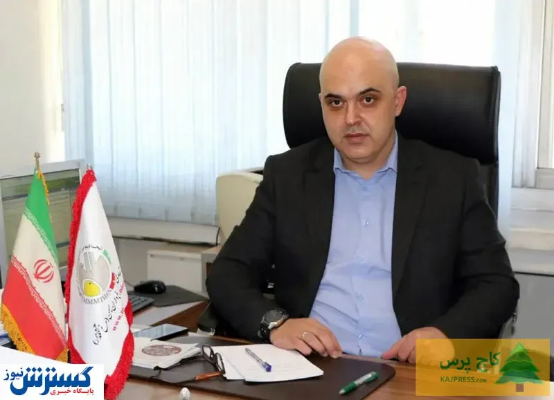 تخم مرغ تا شب عید گران می شود؟ / قیمت هر شانه در بازار