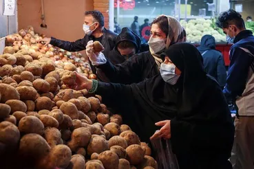 رد پای افغانستان در ماجرای کمبود و گرانی سیب زمینی پیدا شد