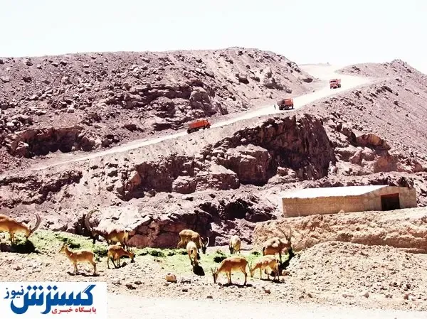 هشدار که آرامش‌شان را نخراشی