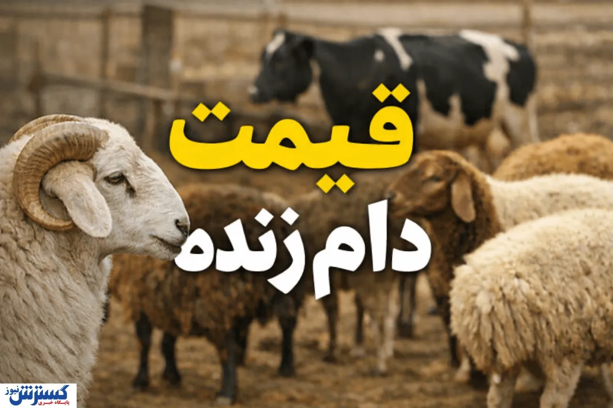 قیمت دام زنده گوسفند امروز ۲۷ بهمن اعلام شد