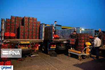 تصاویر/ کامیونداران عامل افزایش نرخ ارزاق عمومی