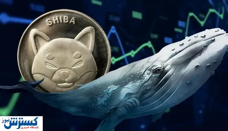 غیبت عجیب نهنگ‌های شیبا!