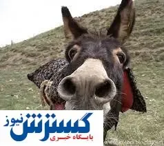 الاغ ترین قاتل ایران در  اسفراین!