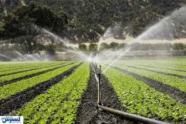 پیش بینی وحشتناک از مرگ کشاورزی در ایران / بانک ها مقصر هستند؟