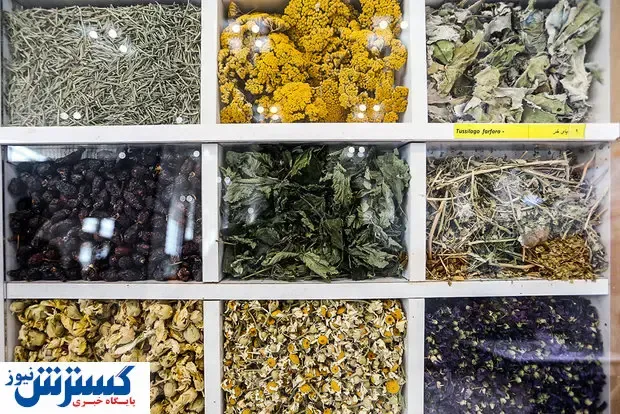قیمت داروهای گیاهی در بازار + جدول
