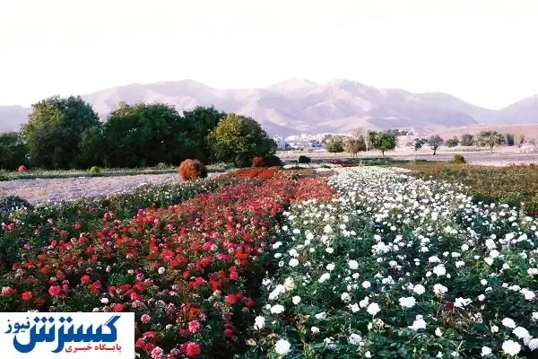 ارزشمند اما بی‌اعتبار