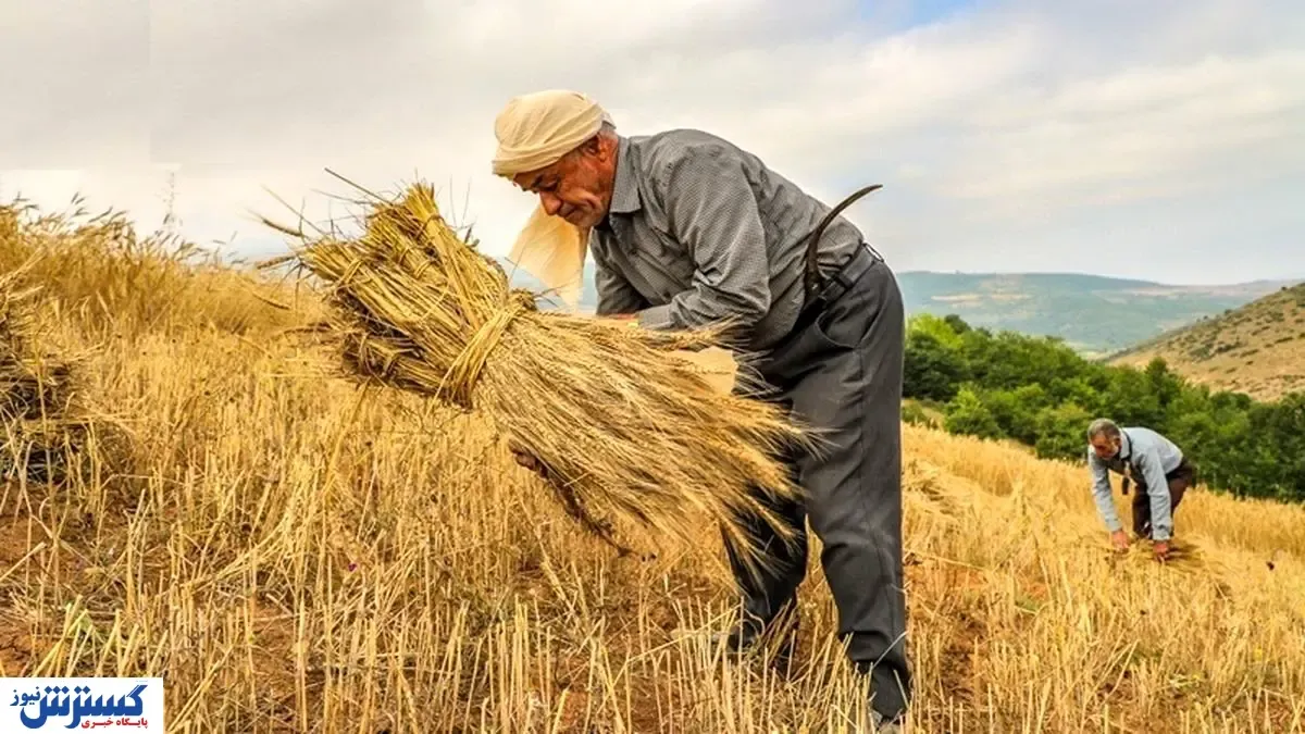 ۲ هزار و ۸۰۰ خانوار روستایی تحت پوشش بیمه قرار گرفتند /۷۰ درصد سهم بیمه این افراد را دولت پرداخت می‌کند