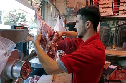 دولت به بازار گوشت چراغ سبز داد