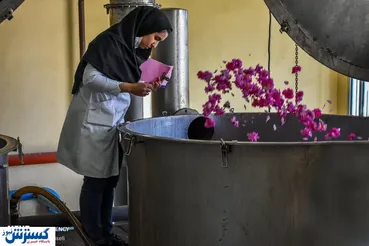 تصاویر/ صادرات جهانی گلاب ایرانی