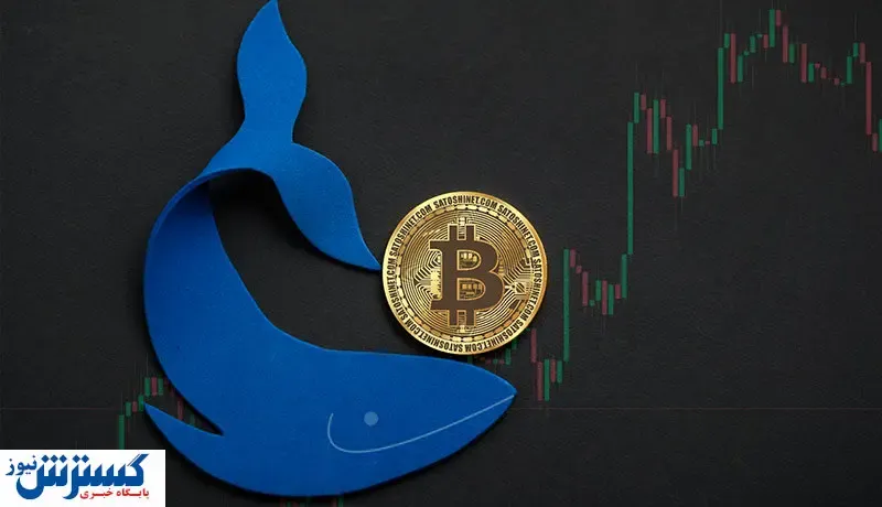 این نهنگ بیت کوین را از غرق شدن نجات داد