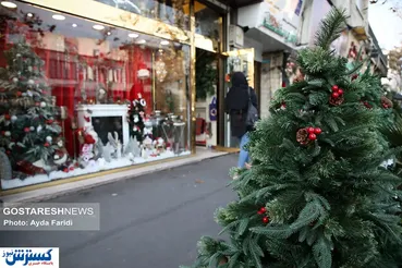 تصاویر/ مخاطبان غیرمسیحی و کاج‌های میلیونی