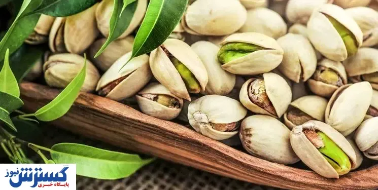 قیمت پسته نجومی می شود | ضربه سنگین قطعی برق به تولید کنندگان!
