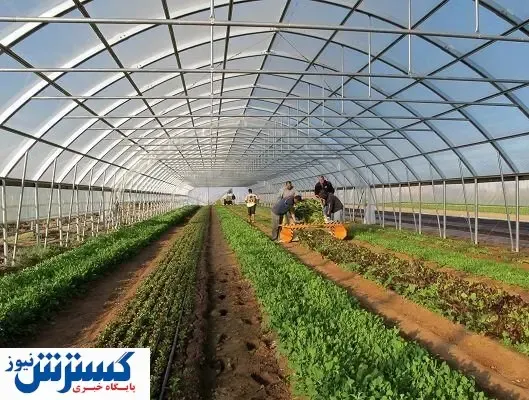 نمی‌خواهیم دولت دست ما را بگیرد!