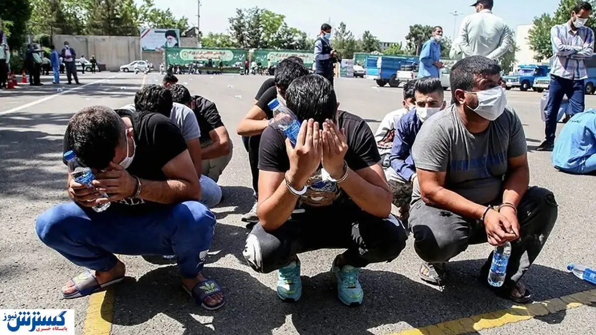 سرقت مسلحانه گوسفند در خاش / ماجرا چه بود؟