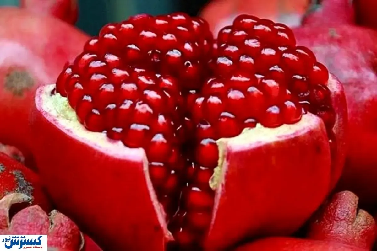 آبمیوه جذاب پاییزی برای محافظت از مغز