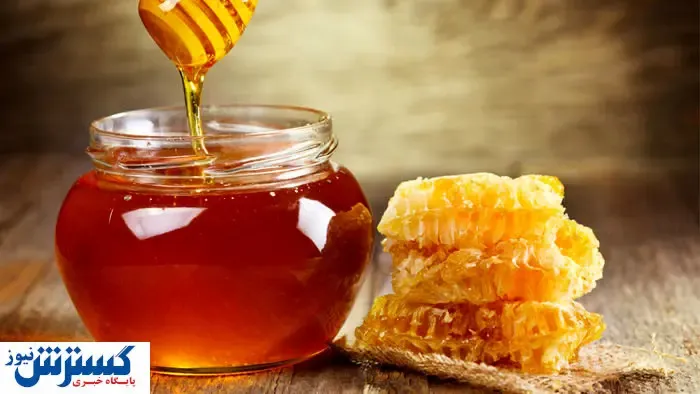 جدیدترین قیمت انواع عسل در بازار (۱۴۰۰/۵/۲۹)