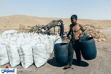 تصاویر/ تهیه زغال به شیوه سنتی