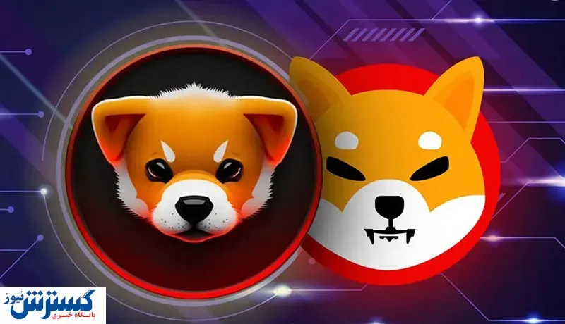 تراکنش در شبکه بلاکچین شیبا رکورد زد