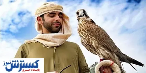 قاچاقچیان پرنده مجوز رسمی دارند! + جزئیات