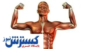 این پروتئین عضلات را تقویت می کند