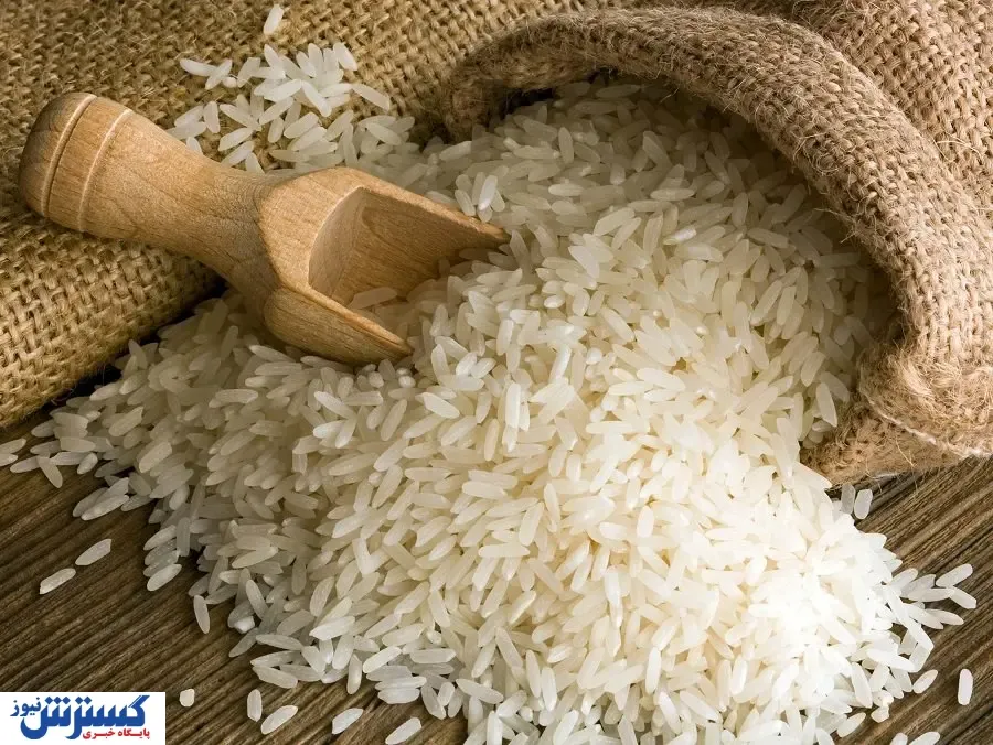 قیمت جدید برنج اعلام شد (۱۳ آذر)