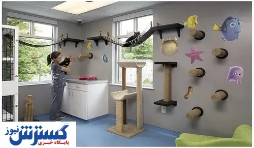 اقامت حیوانات در هتل ۵ ستاره / هزینه نگهداری پت در هتل ها چقدر است؟
